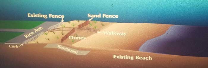 Slide39 Point of Pines Sand Dune